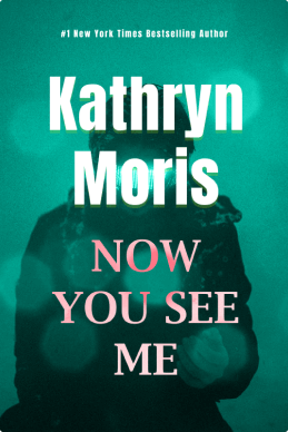 Now You See Me book cover4
